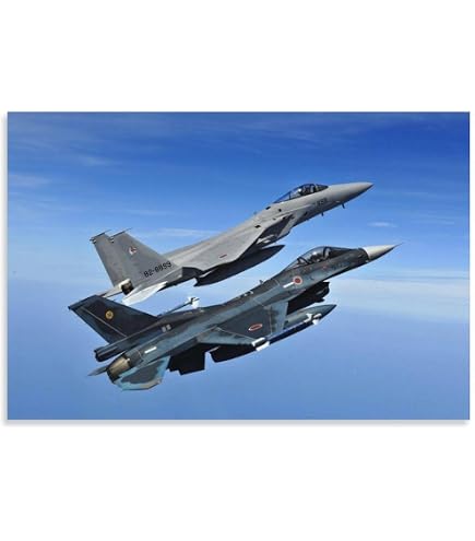 Amazon.co.jp: ポスター 航空自衛隊 F-15 かっこいい 自衛隊 : ホーム